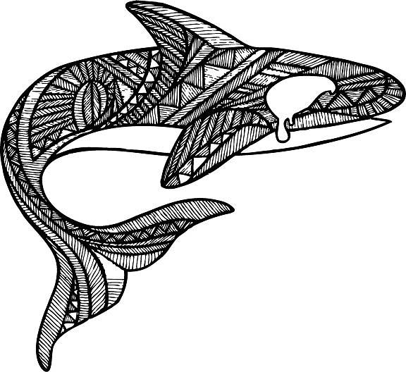 Orca Drawing by Kc Cowan | Fine Art America