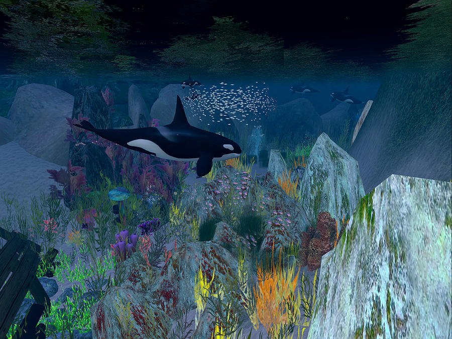Orca Sanctuary Digital Art by Michael Doyle