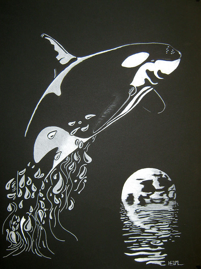 Orca Sillhouette Drawing by Mayhem Mediums