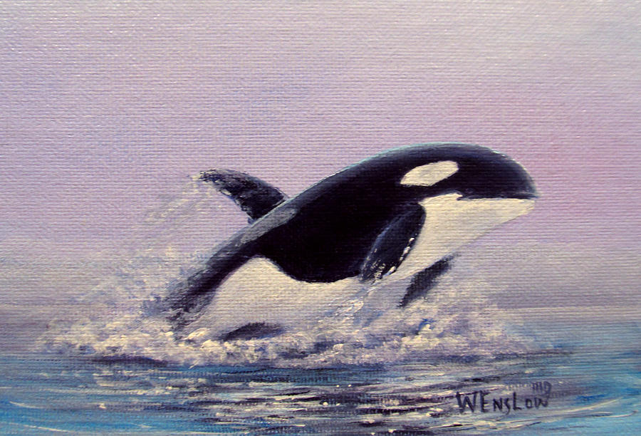 Orca Painting by Wayne Enslow