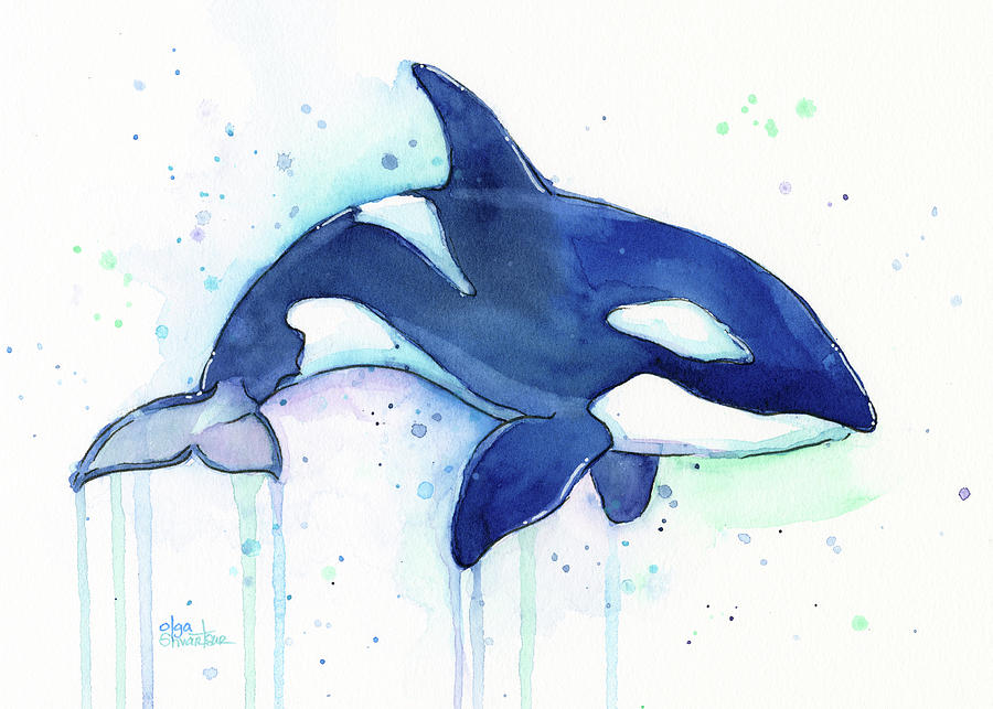 Killer Whale Painting - Orca Whale Watercolor Killer Whale Facing Right by Olga Shvartsur