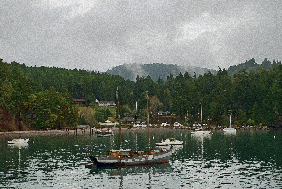 Orcas Island Digital Enhancement Photograph by Carol Eliassen