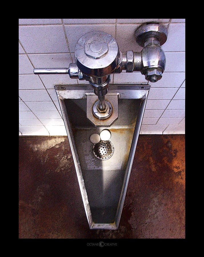 Orcas Island Urinal Photograph by Tim Nyberg