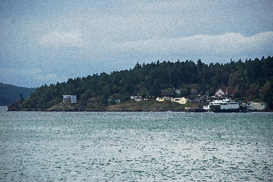 Orcas Island view  Photograph by Carol Eliassen