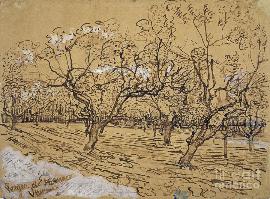 Orchard Arles Painting by Celestial Images