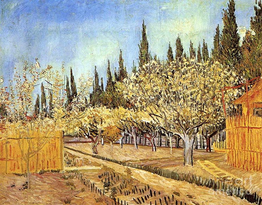 Orchard In Blossom, Bordered By Cypresses 2 Painting By Vincent Van Gogh