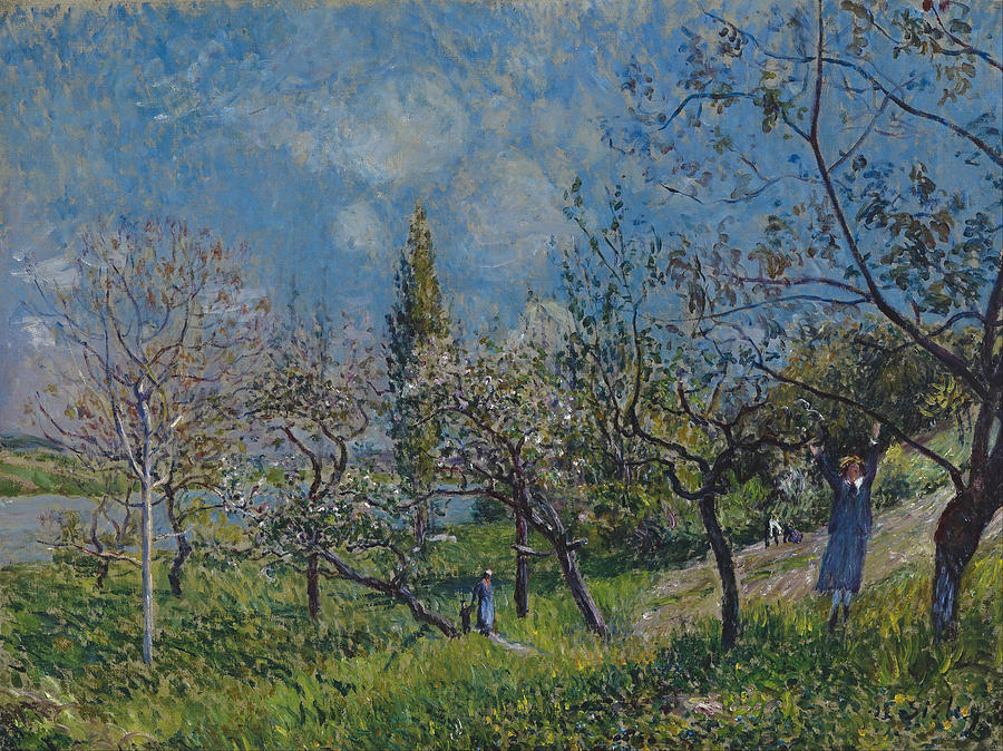 Orchard in Spring. By Painting by Alfred Sisley