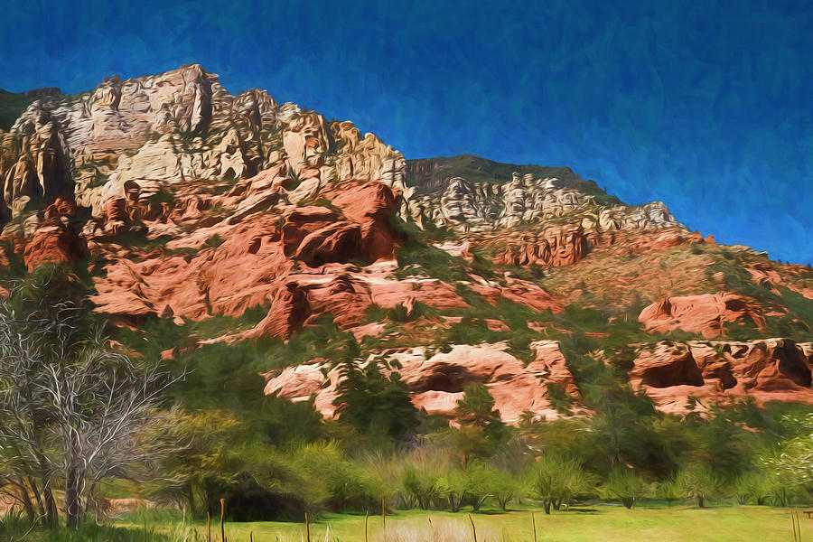 Orchard Meadow at Slide Rock Park Photograph by Bonnie Follett