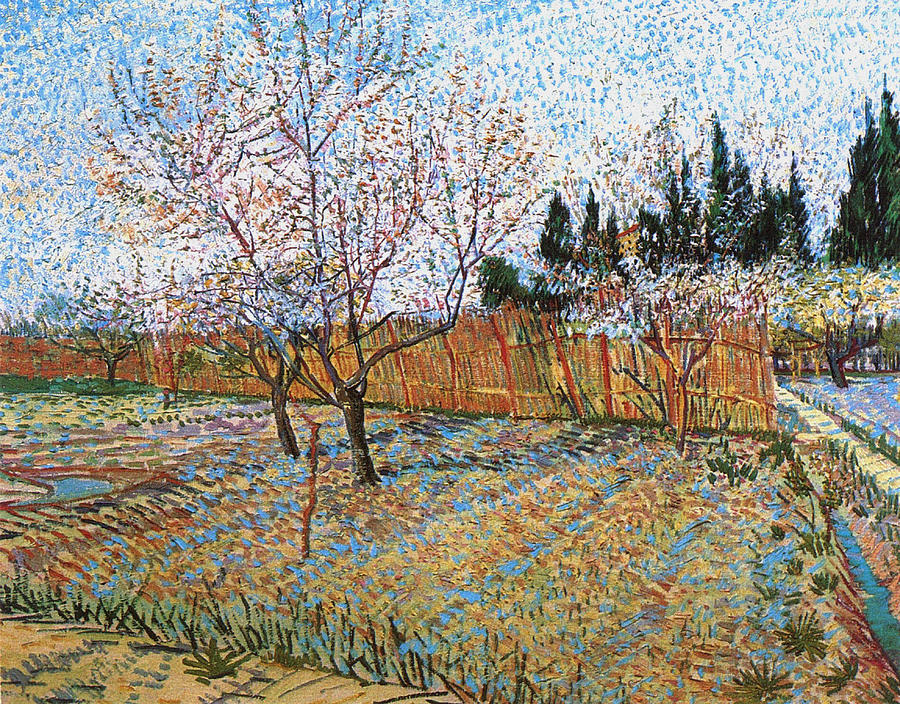 Orchard With Peach Trees In Blossom, 1888 Painting By Vincent Van Gogh ...