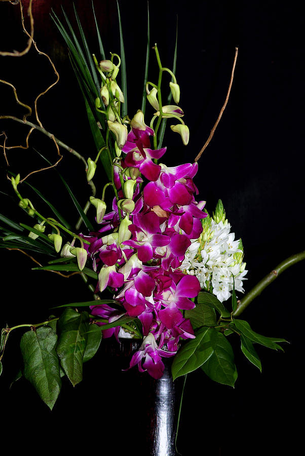 Orchid Photograph - Orchid-0111 by Sean Shaw