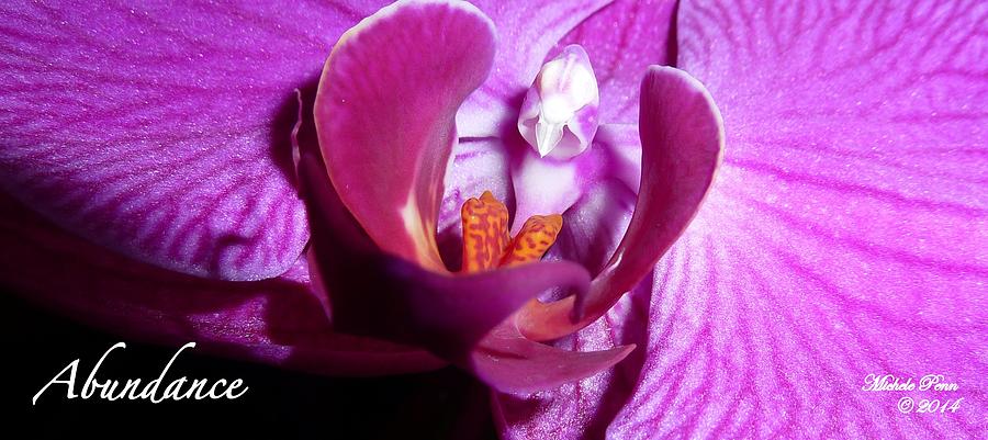 Orchid Abundance Photograph by Michele Penn