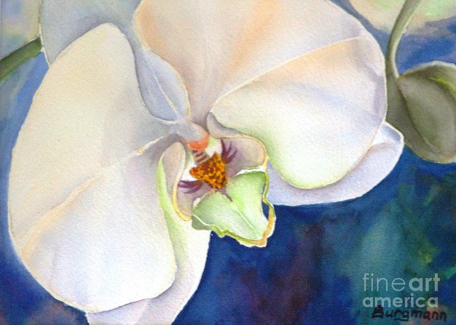 Orchid Aglow Painting by Petra Burgmann