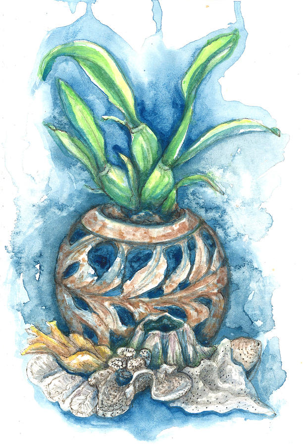 Orchid and Barnacle by Ashley Kujan Orchid and Barnacle by Ashley Kujan