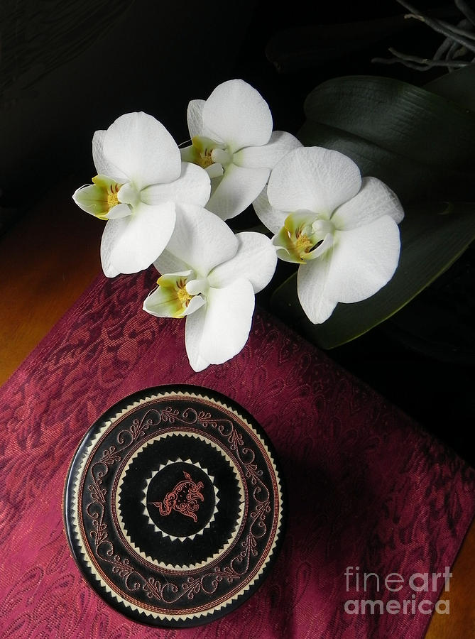Orchid Photograph - Orchid and Burmese Bowl by Steve Rudolph Orchid Photograph - Orchid and Burmese Bowl by Steve Rudolph