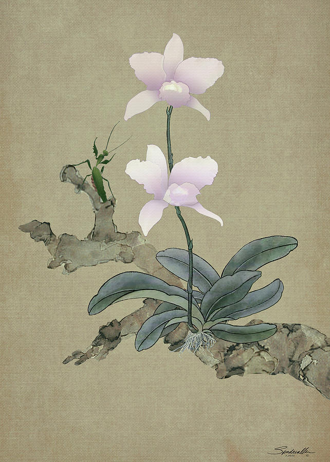 Orchid And The Mantis Digital Art by M Spadecaller