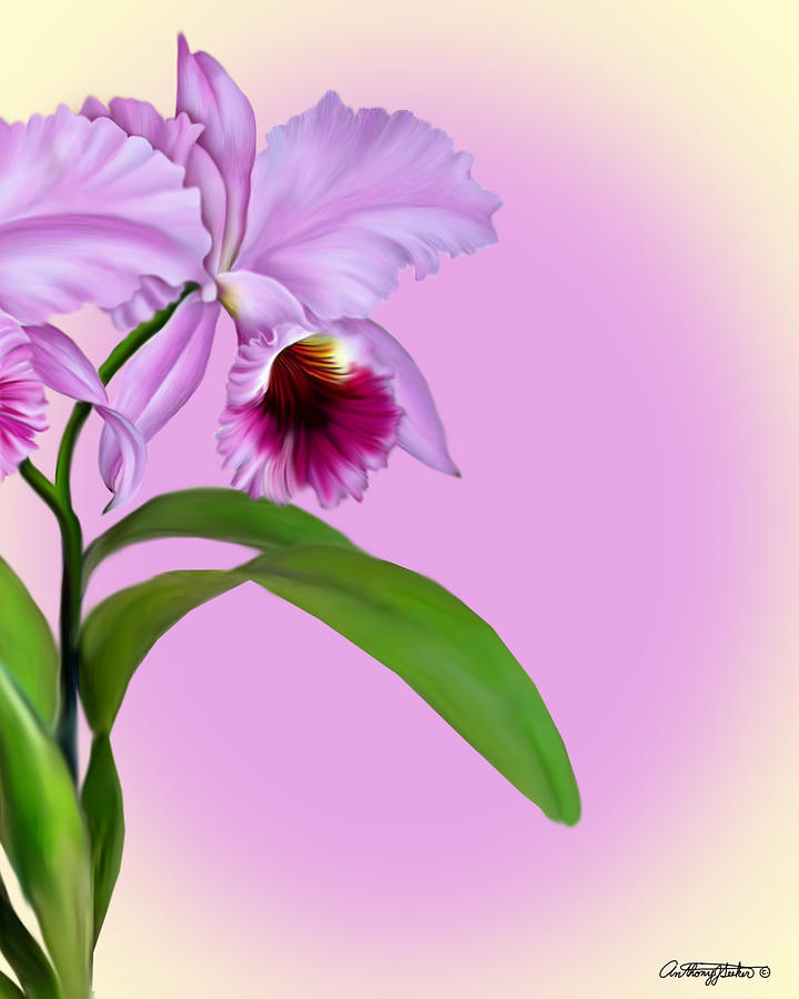 Orchid Mixed Media by Anthony Seeker