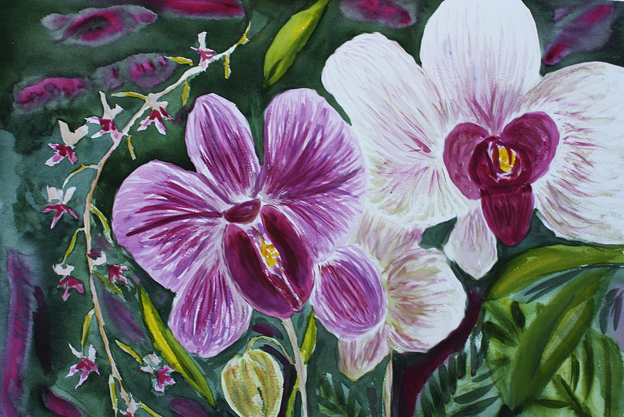 Orchid at AOS 2010 Painting by Donna Walsh