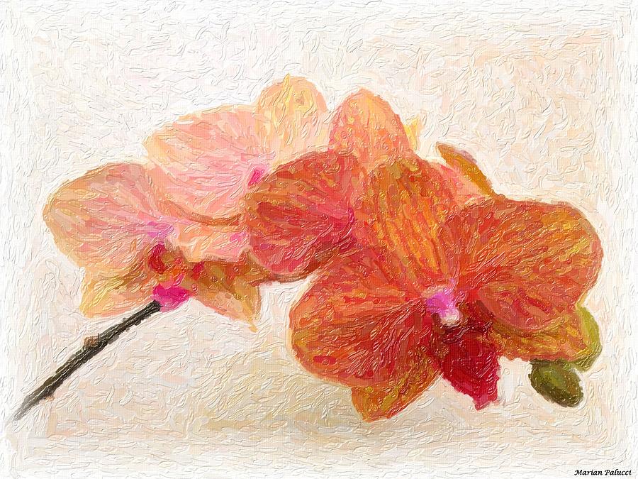 Orchid Beauty Painting by Marian Lonzetta