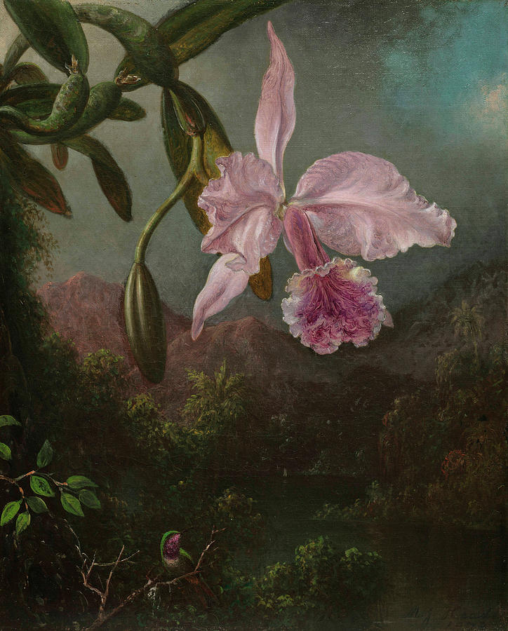 Martin Johnson Heade Painting - Orchid Blossoms, 1873 by Martin Johnson Heade