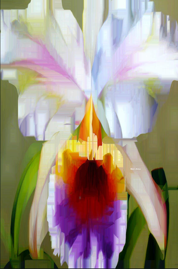 Orchid Cattleya Digital Art by Rafael Salazar
