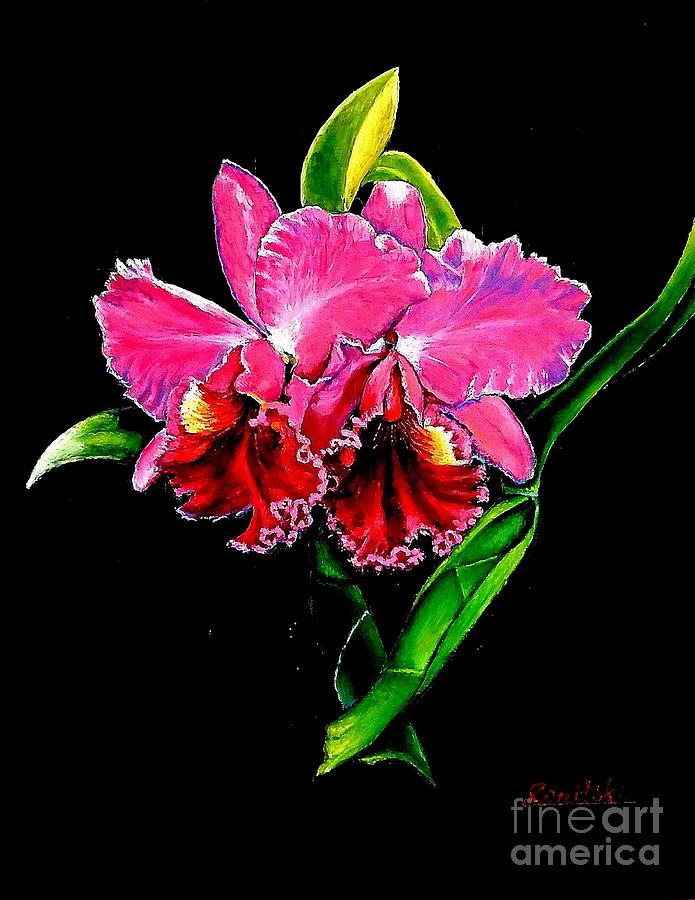 Orchid Painting by Dmitri Ivnitski