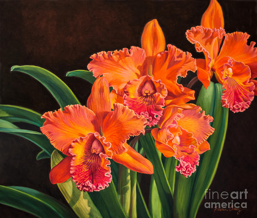 Orchid Painting - Orchid Fever 4 Volcano Queen 1 by Fiona Craig