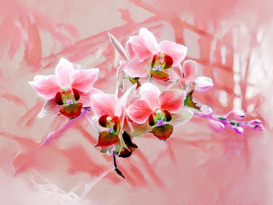 Orchid Flowers 10 Painting by Susanna Katherine