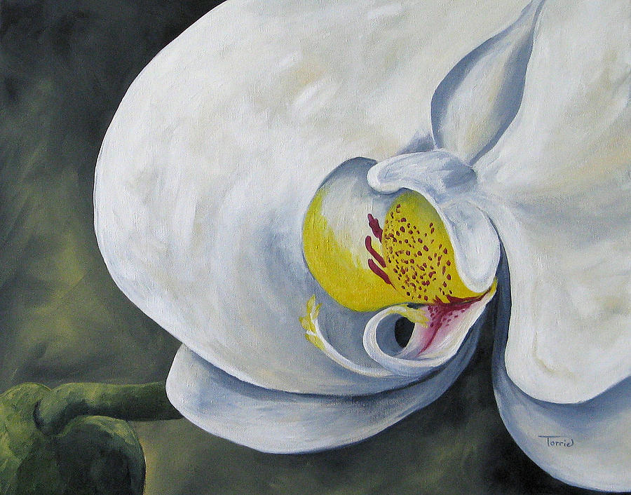 Orchid for Amanda Painting by Torrie Smiley