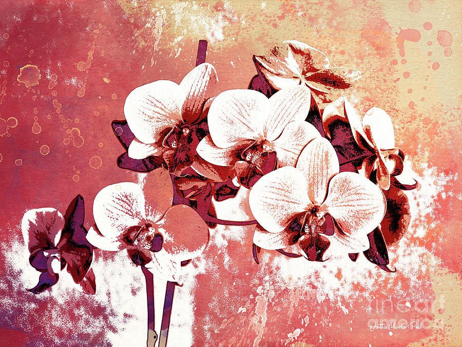Orchid Garden Digital Art by Jutta Maria Pusl