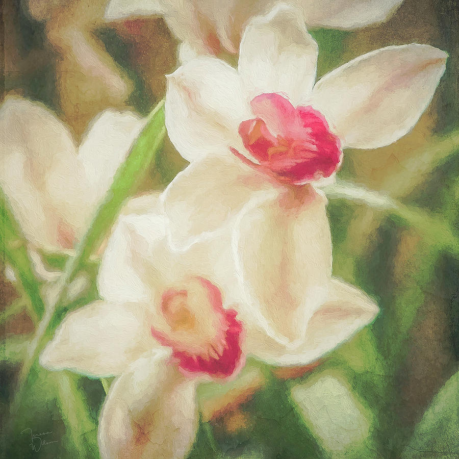 Orchid Garden Digital Art by Teresa Wilson