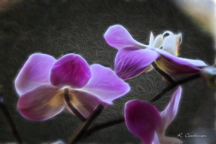 Orchid Glow Painting by Renette Coachman