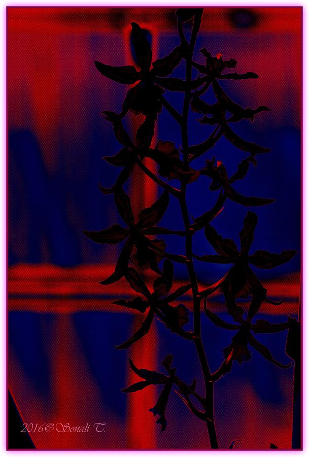 Orchid Impression Digital Art by Sonali Gangane