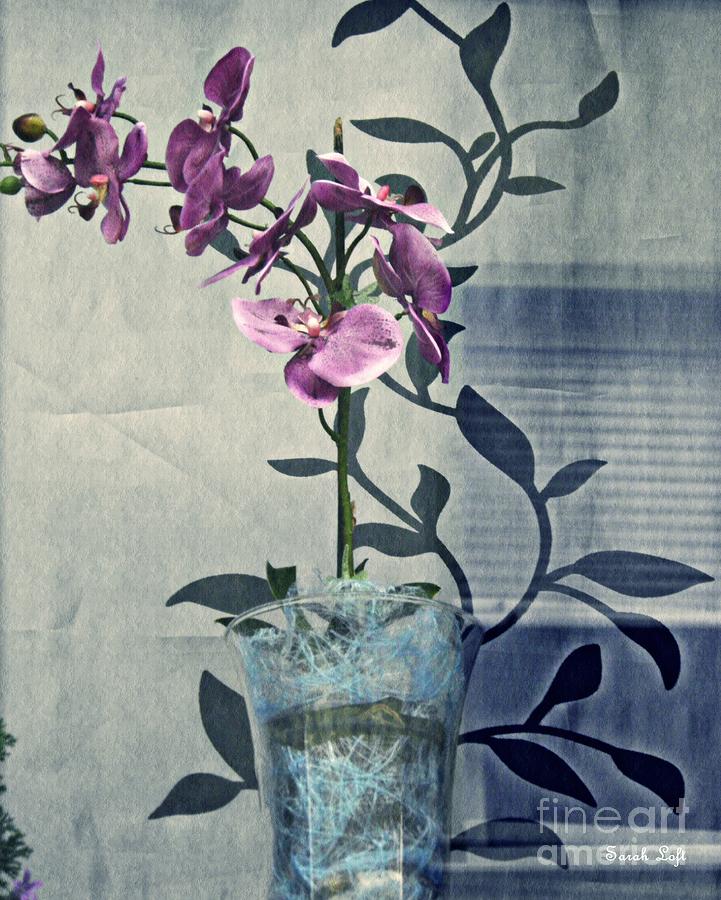 Orchid in the Window Photograph by Sarah Loft