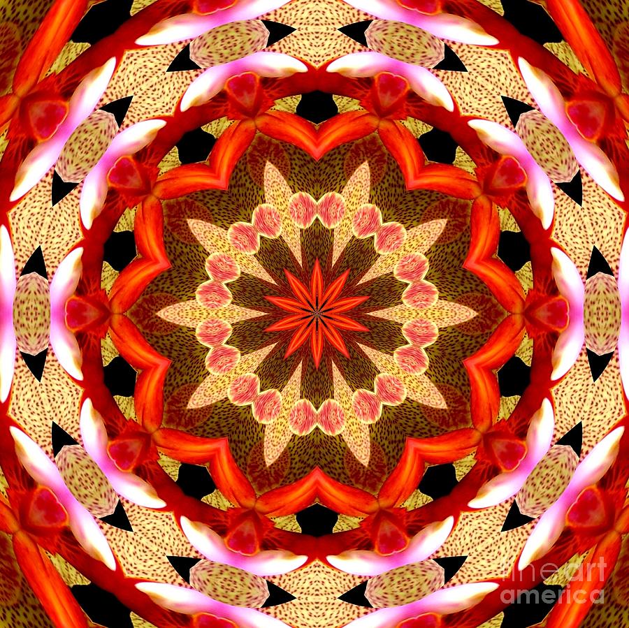 Orchid Mixed Media - Orchid Kaleidoscope 7 by Rose Santuci-Sofranko