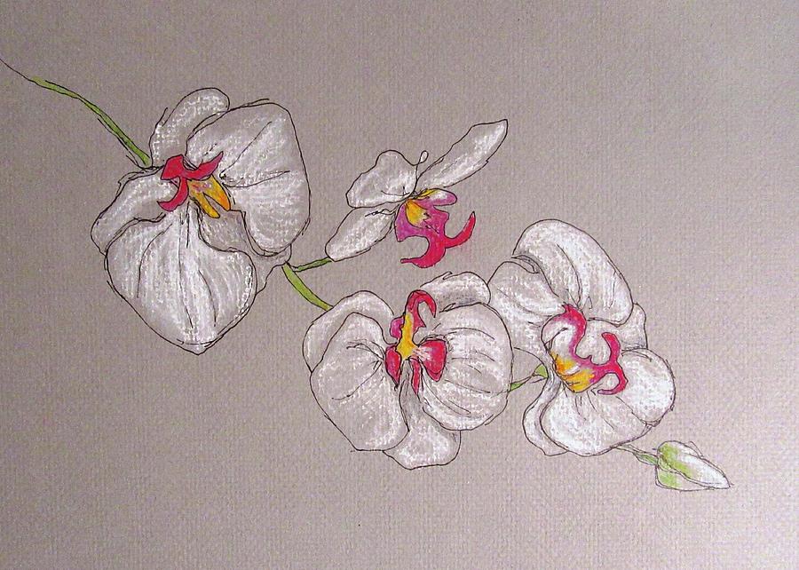 Orchid Painting by Louise Adams