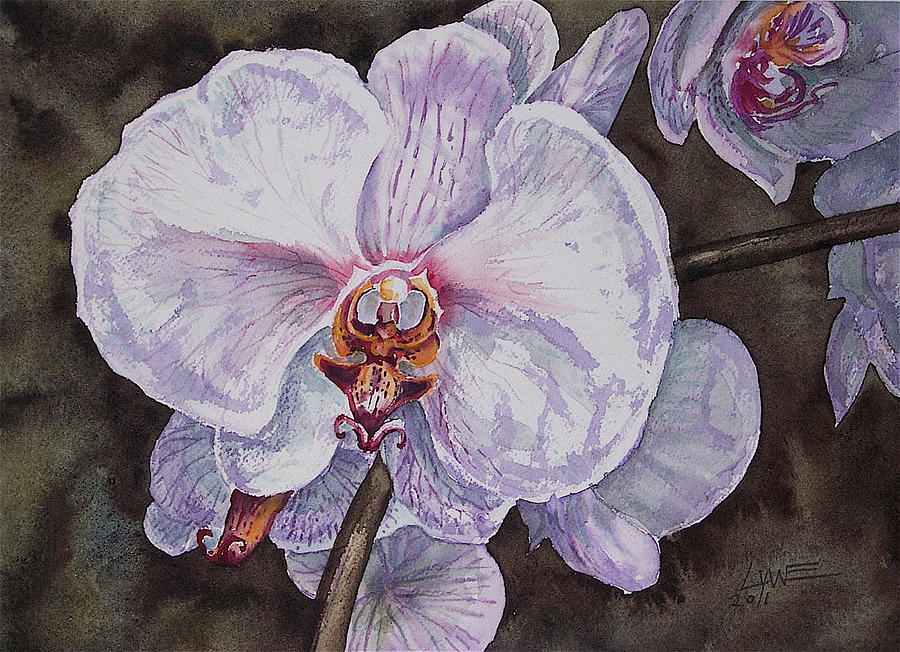Orchid Painting by Lynne Haines