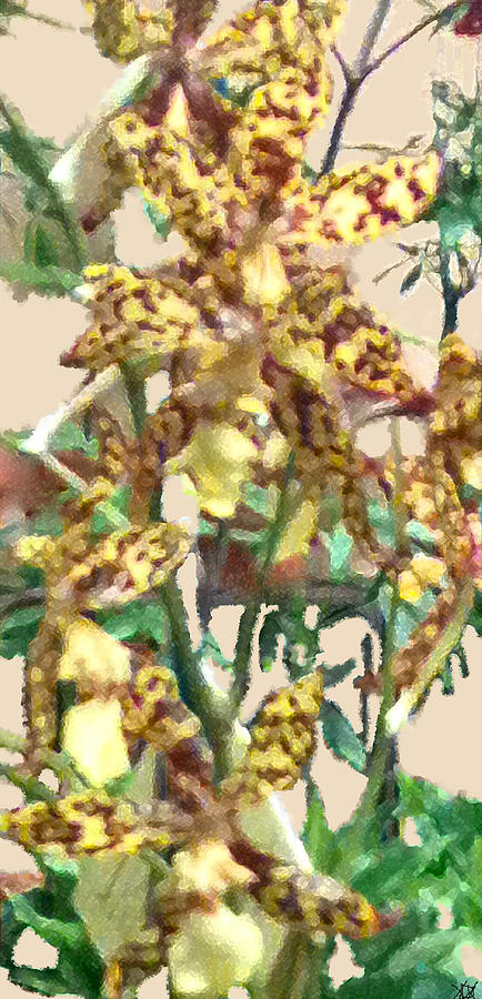 Flower Painting - Orchid Mania by Debra     Vatalaro