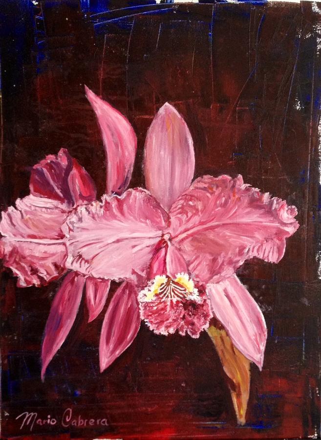 Orchid Painting by Mario Cabrera