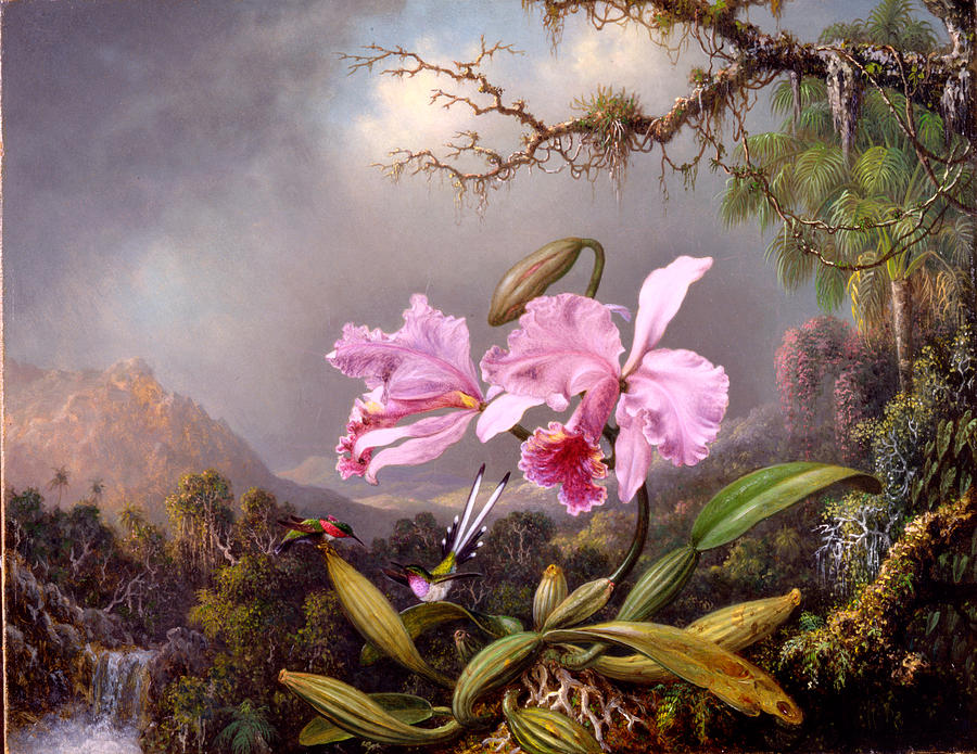 Orchid Painting by Celestial Images