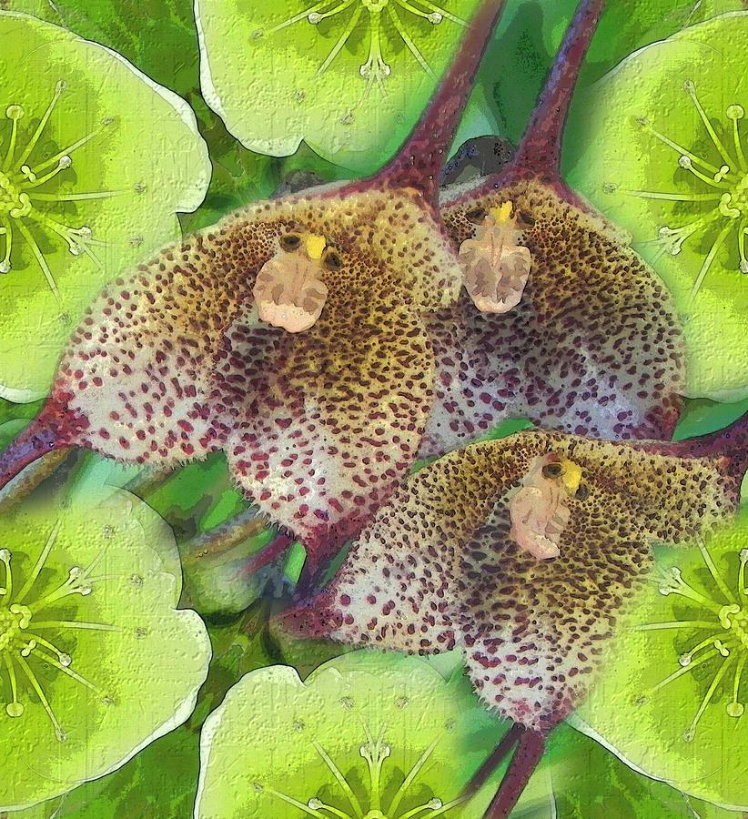 Orchid Monkeys Digital Art by Diane Lynn Hix