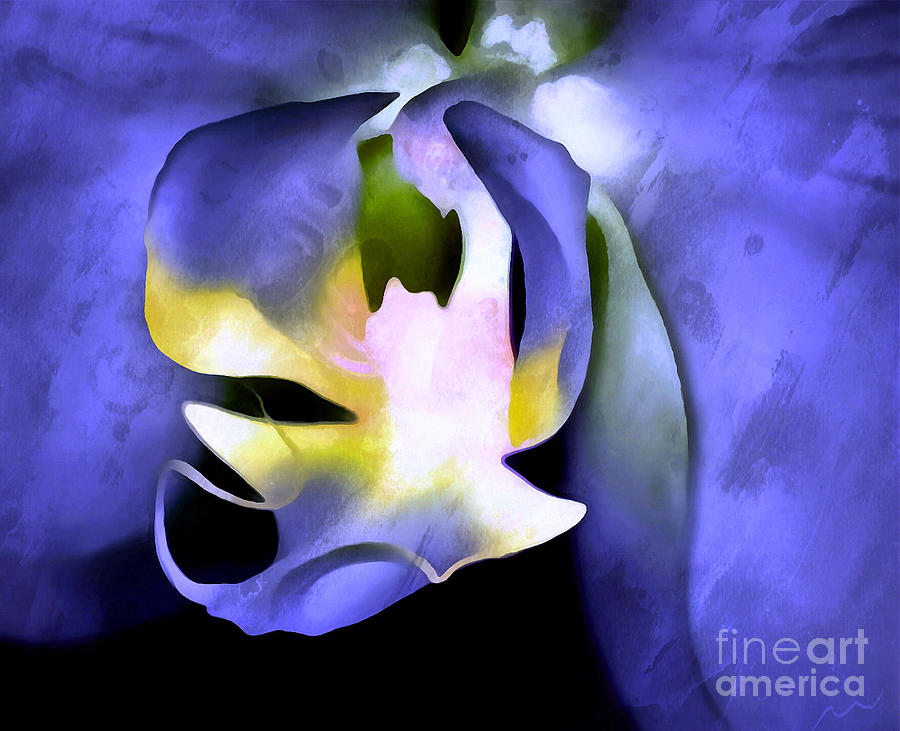Orchid Of Life Photograph by Krissy Katsimbras