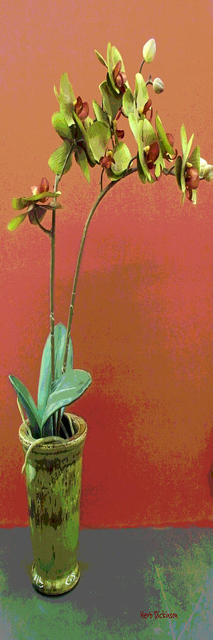 Orchid Opus II Painting by Herb Dickinson