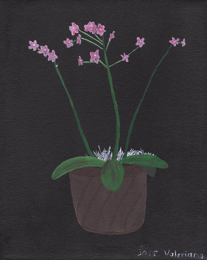 Orchid-Phalaeropsis Hybrid Painting by Martin Valeriano