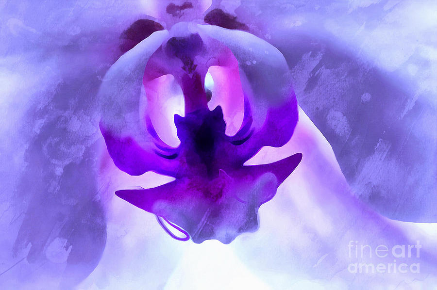 Orchid Photograph - Orchid Soul by Krissy Katsimbras