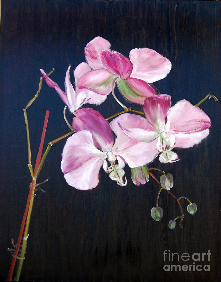 Orchid study I Painting by Frank Hoeffler