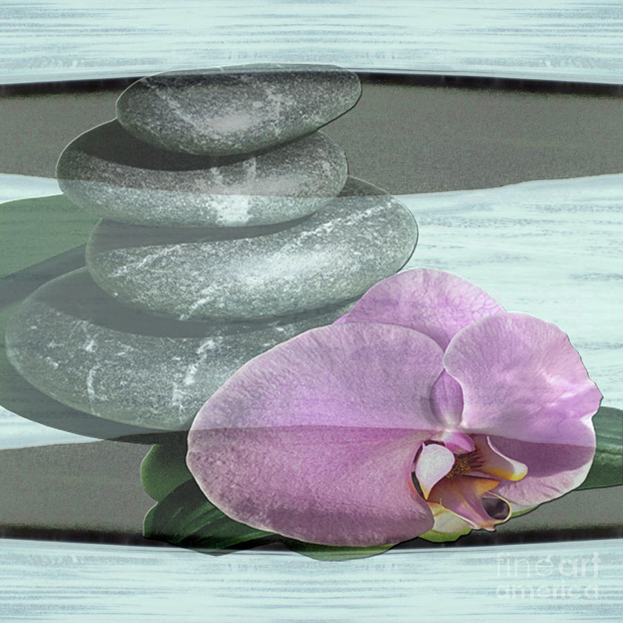 Orchid Tranquility Photograph by Rockin Docks Deluxephotos
