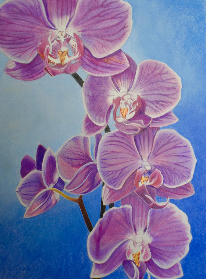 Orchid Twilight Painting by Ashley Gauffin Grant | Fine Art America