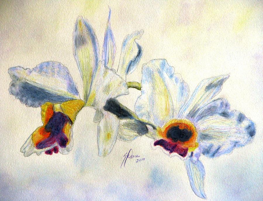 Orchid Waltz Drawing by Angela Davies