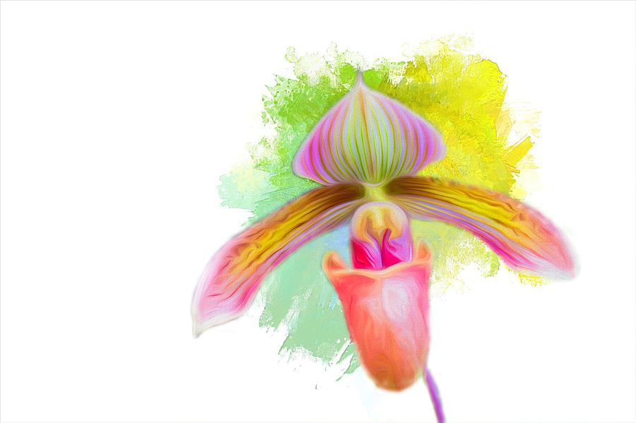 Orchid Whimsy Photograph by Ches Black