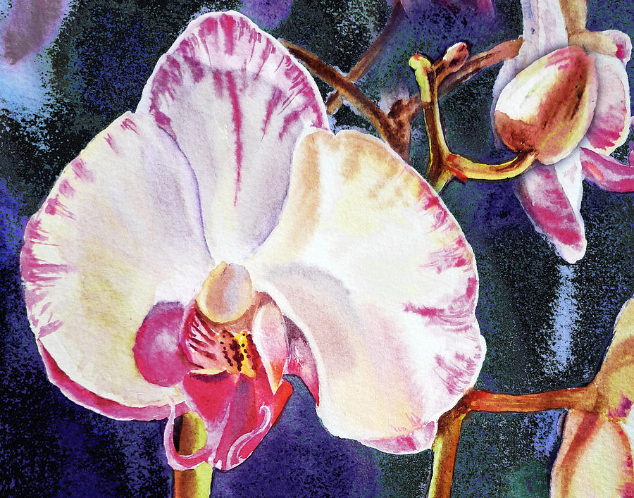 Orchid Wings  Painting by Irina Sztukowski